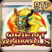 RTP jdb  wiseplay138